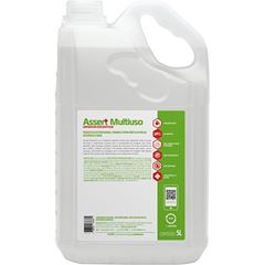 LIMPADOR MULTIUSO ASSERT 5LT AUDAX
