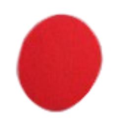 DISCO VERMELHO LIMPADOR 51CM PRO CLEAN BETTANIN